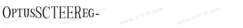 OptusSCTEEReg字体转换