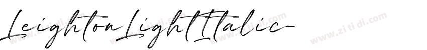 LeightonLightItalic字体转换