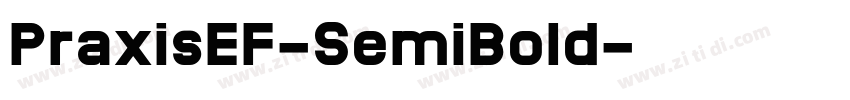 PraxisEF-SemiBold字体转换