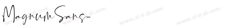 MagnumSans字体转换