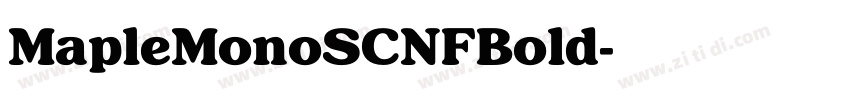 MapleMonoSCNFBold字体转换 MapleMonoSCNFBold字体转换