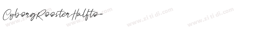 CyborgRoosterHalfto字体转换
