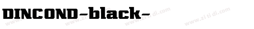 DINCOND-black字体转换