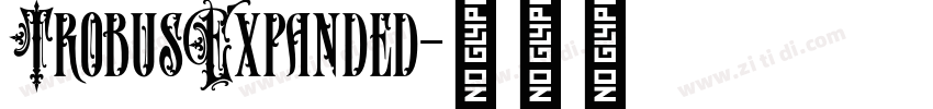 TrobusExpanded字体转换
