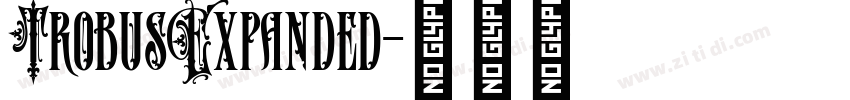TrobusExpanded字体转换