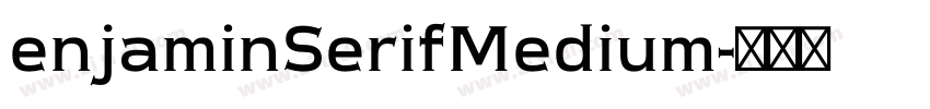 enjaminSerifMedium字体转换