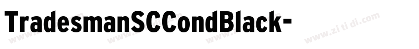 TradesmanSCCondBlack字体转换