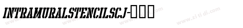 intramuralStencilSCJ字体转换