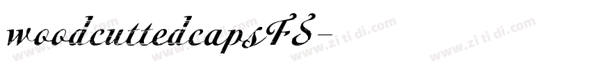 woodcuttedcapsFS字体转换