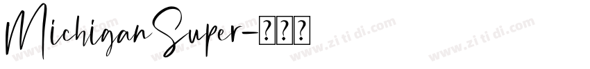 MichiganSuper字体转换