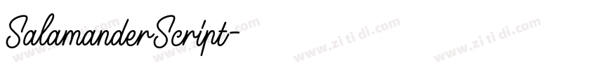 SalamanderScript字体转换