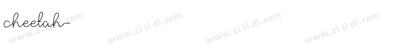 cheetah字体转换