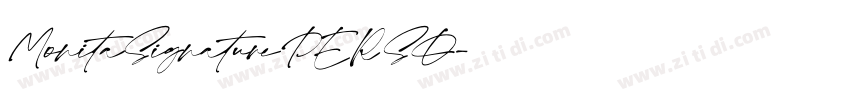 MonitaSignaturePERSO字体转换
