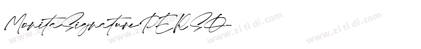 MonitaSignaturePERSO字体转换