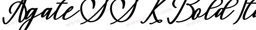 AgateSSKBoldItalic字体转换