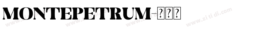 Montepetrum字体转换