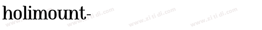 holimount字体转换