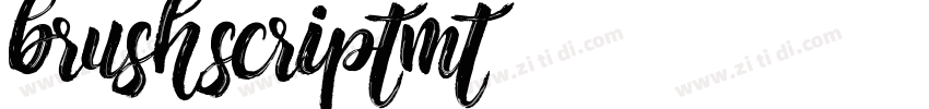brushscriptmt字体转换