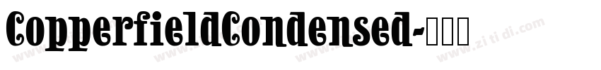 CopperfieldCondensed字体转换