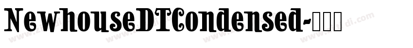 NewhouseDTCondensed字体转换