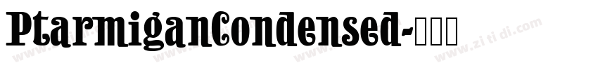PtarmiganCondensed字体转换