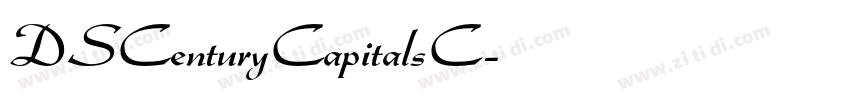 DSCenturyCapitalsC字体转换