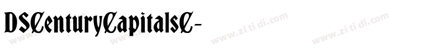 DSCenturyCapitalsC字体转换