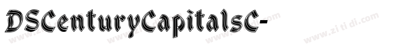 DSCenturyCapitalsC字体转换