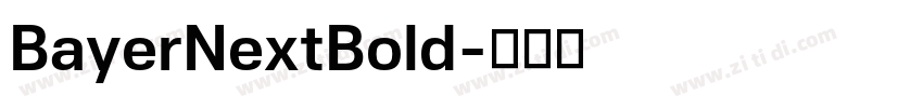 BayerNextBold字体转换