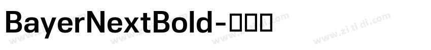 BayerNextBold字体转换