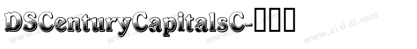DSCenturyCapitalsC字体转换