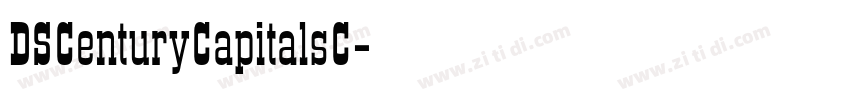 DSCenturyCapitalsC字体转换