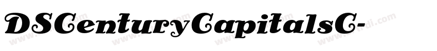 DSCenturyCapitalsC字体转换