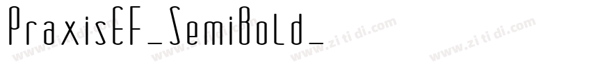 PraxisEF-SemiBold字体转换
