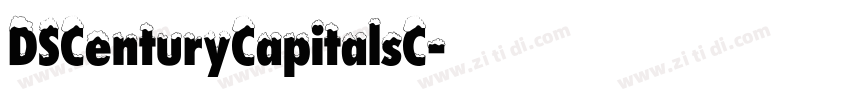DSCenturyCapitalsC字体转换
