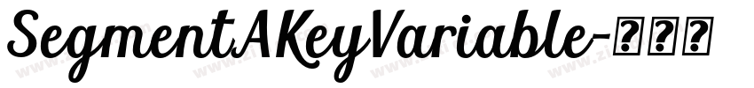 SegmentAKeyVariable字体转换