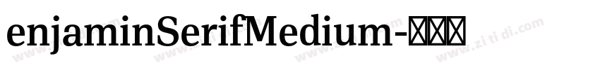 enjaminSerifMedium字体转换