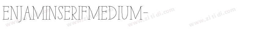 enjaminSerifMedium字体转换