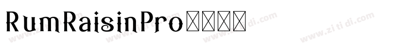 RumRaisinPro字体转换