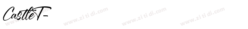 CastleT字体转换