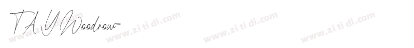 TAYWoodrow字体转换