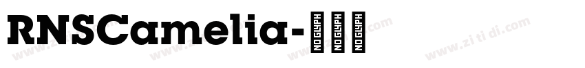 RNSCamelia字体转换