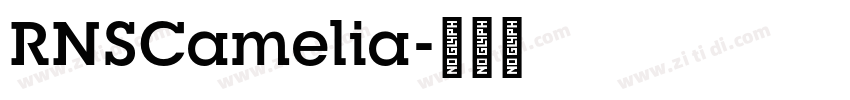 RNSCamelia字体转换