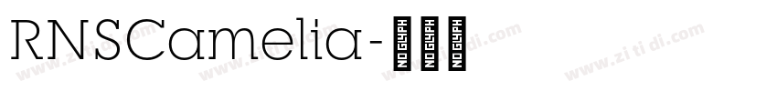 RNSCamelia字体转换