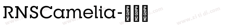 RNSCamelia字体转换
