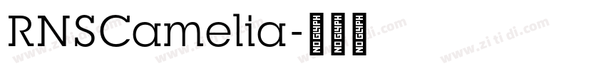 RNSCamelia字体转换