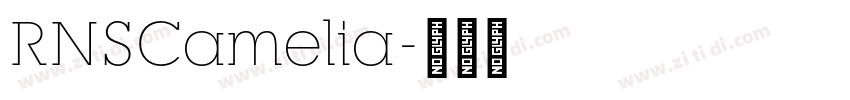 RNSCamelia字体转换