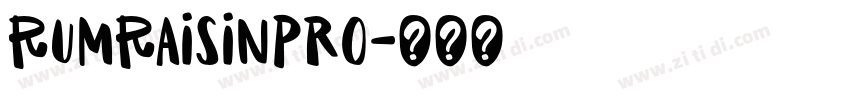 RumRaisinPro字体转换
