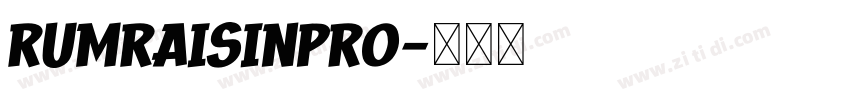 RumRaisinPro字体转换