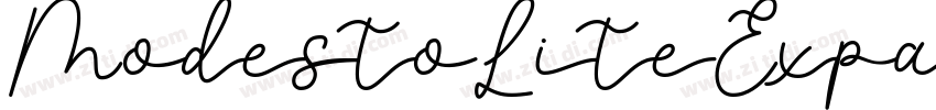 ModestoLiteExpandedW字体转换